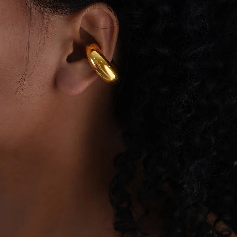 Dragon earings